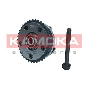 RV009 KAMOKA