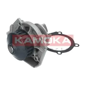 T0117 KAMOKA