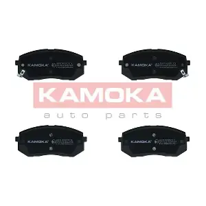 JQ101149 KAMOKA