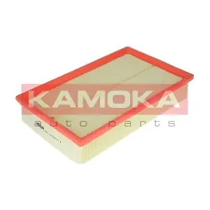 F203701 KAMOKA