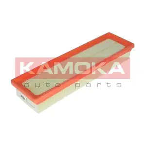 F220901 KAMOKA
