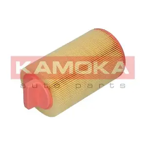 F214101 KAMOKA