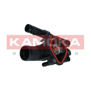 7710269 KAMOKA