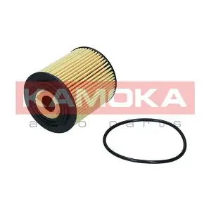F121901 KAMOKA