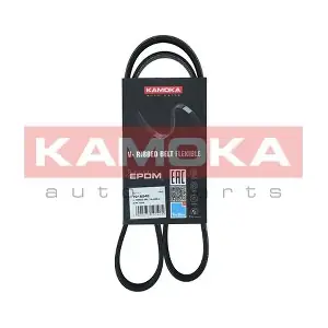 7016048 KAMOKA