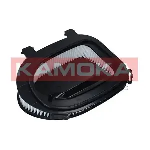 F240701 KAMOKA