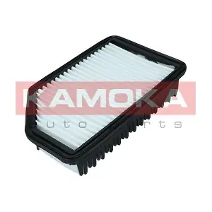 F247301 KAMOKA