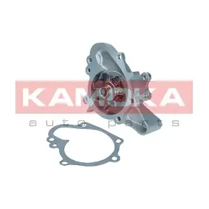 T0159 KAMOKA