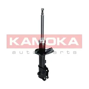 2000245 KAMOKA