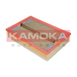 F200801 KAMOKA