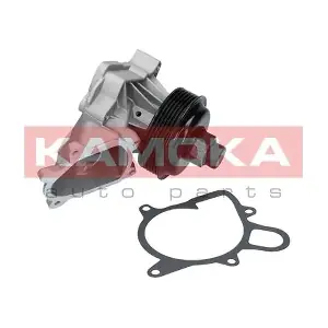 T0060 KAMOKA