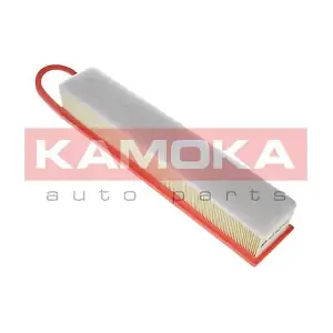 F221601 KAMOKA