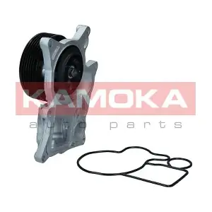 T0300 KAMOKA