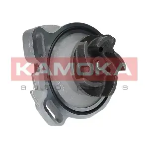 T0275 KAMOKA