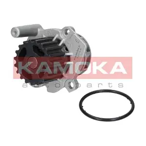 T0023 KAMOKA