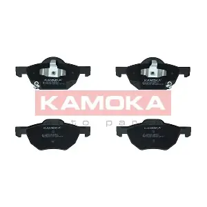 JQ1013408 KAMOKA