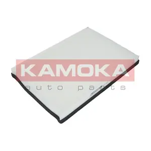 F407601 KAMOKA