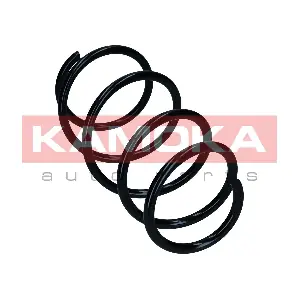 2110799 KAMOKA