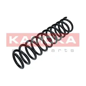 2120238 KAMOKA