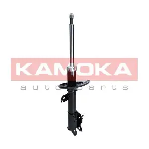 2000246 KAMOKA