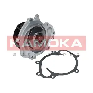 T0191 KAMOKA