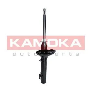 2000222 KAMOKA