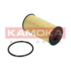 F121301 KAMOKA