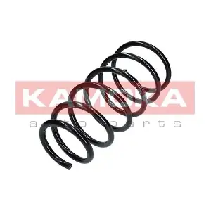 2120231 KAMOKA