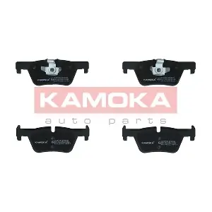 JQ101295 KAMOKA