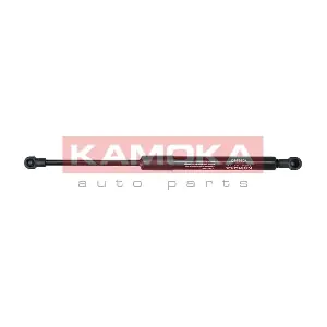 7092563 KAMOKA