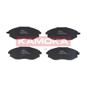 JQ101285 KAMOKA