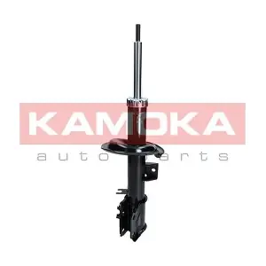 2000221 KAMOKA