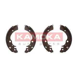 JQ202008 KAMOKA