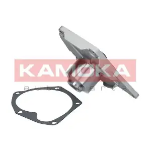 T0214 KAMOKA