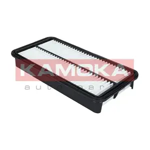 F230301 KAMOKA