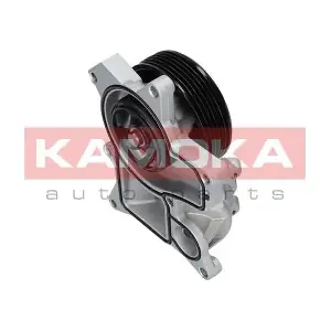 T0048 KAMOKA