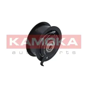 R0113 KAMOKA