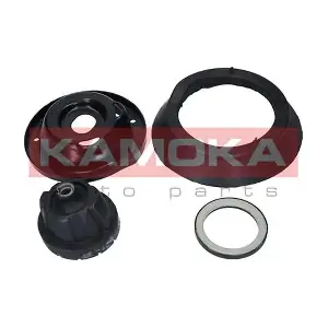 209004 KAMOKA