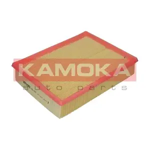 F201601 KAMOKA