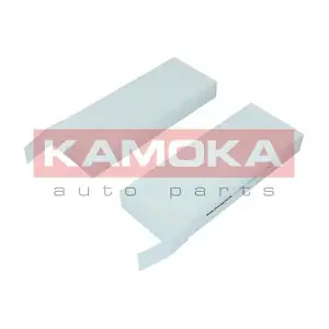 F421301 KAMOKA