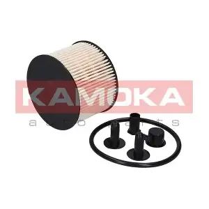 F307301 KAMOKA