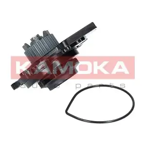 T0031 KAMOKA