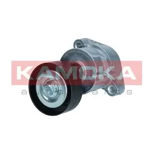 R0613 KAMOKA