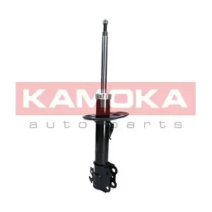 2000255 KAMOKA