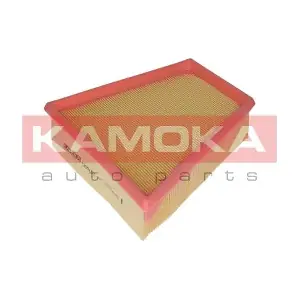F205101 KAMOKA