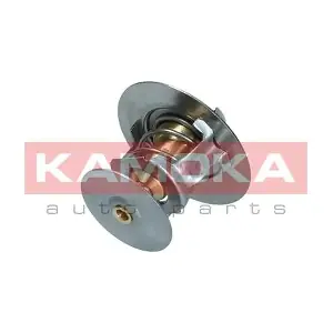 7710125 KAMOKA
