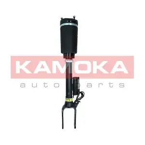 2070015 KAMOKA