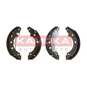 JQ202016 KAMOKA