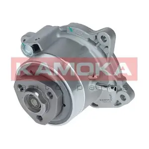 T0019 KAMOKA