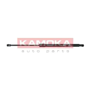 7092598 KAMOKA
